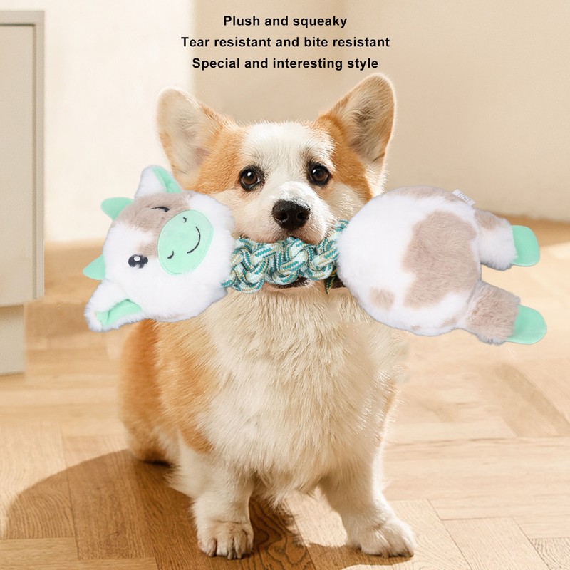 Pet Chewing Toy Bite Resistant Interactive Squeaky Pet Biting Toy