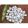 Prajet Crystal Natural Howlite Tumbled Stones 100 Grams White Howlite