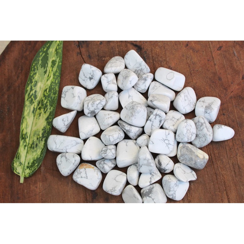 Prajet Crystal Natural Howlite Tumbled Stones 100 Grams White Howlite