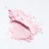 Naris Et Skin Loose Powder Refill 0.3 oz (9 g)