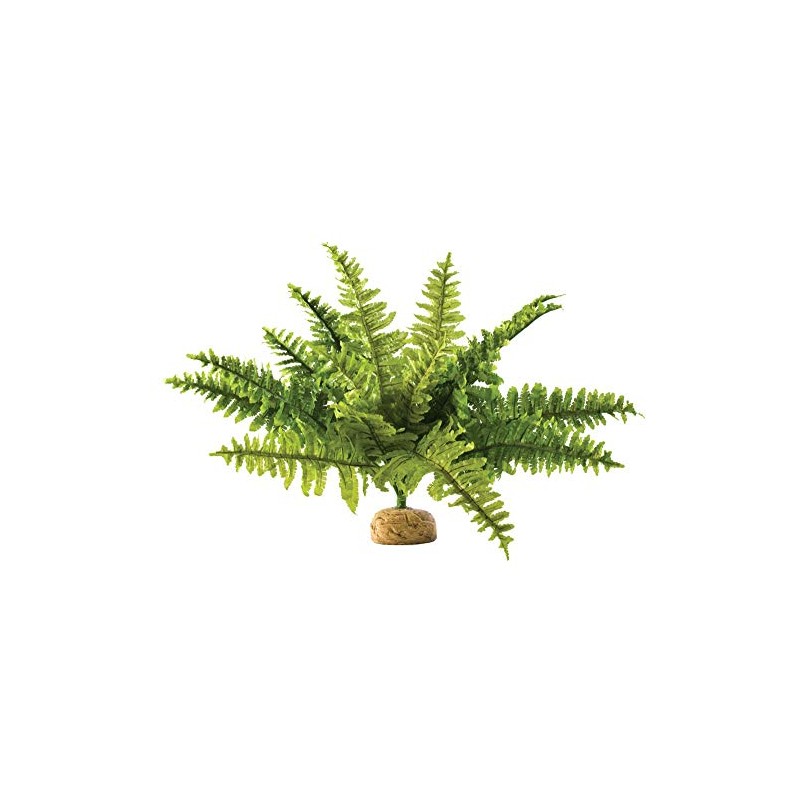Exo Terra,Reptiles, Amphibians Boston Fern Terrarium Plant, Medium