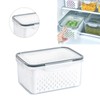 Produce Saver Box, Transparent Fruit Vegetable Storage Container, Drain Storage
