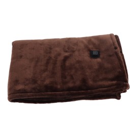 Electric Heated Blanket, Small 5V Quick Heating, Thickening, Flannel, USB Electric Blanket (100 x 80 cm)