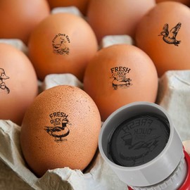 AHANDMAKER 5 Styles Plastic Stamp Text and Duck Motifs DIY Egg Drawing Ideal for Egg Painting and Crafts Farm Decoration Gift