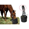 Feed Bag for Horses with Comfort Neck Pad, Heavy Duty