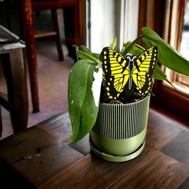 Fungus Gnat & Fruit Fly Trap Stakes: Hide Sticky Traps Stylishly! 5 Stickies Included Per Butterfly, Free Shipping Available - Quantity: 1