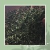 Yamashiro Bussan Jasmine Tea Bag 20 P x 1 Bag