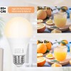 Brilvibera 2 Packs Remote Control Bulb Set, A19 LED Light