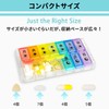 Fullicon Quicklii S (Small) Pill Case for a Week, Twice