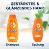 Schauma Schwarzkopf Superfruit & Shine Conditioner (2 x 250 ml),