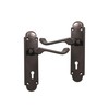 Infinity Decor Victorian Scroll Curved Lever Lock Door Handle on