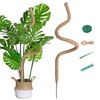 Mcbazel 63 Inch Moss Pole for Plants Monstera, Monstera Plant