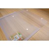 eco-eco A4 100% Recycled Clear Transparent Twin Press Stud Popper