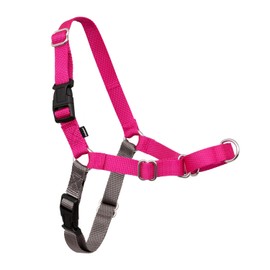 PetSafe Easy Walk Arnés para Perro, Anti tirones, Frambuesa/Gris, M
