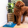 Wilderdog Silicone Pet Placemat Made with 100% Food-Grade Silicone Cone,