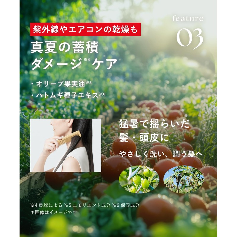 [2025 Summer Limited] Botanist Treatment, Smooth Fruit Tomato & Rosemary