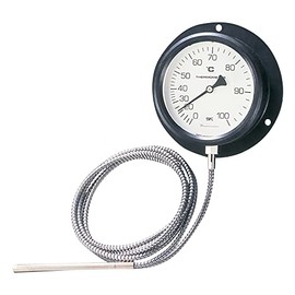 Wall Mounted Separated Thermometer 0 - 100 °C /1-2584-02