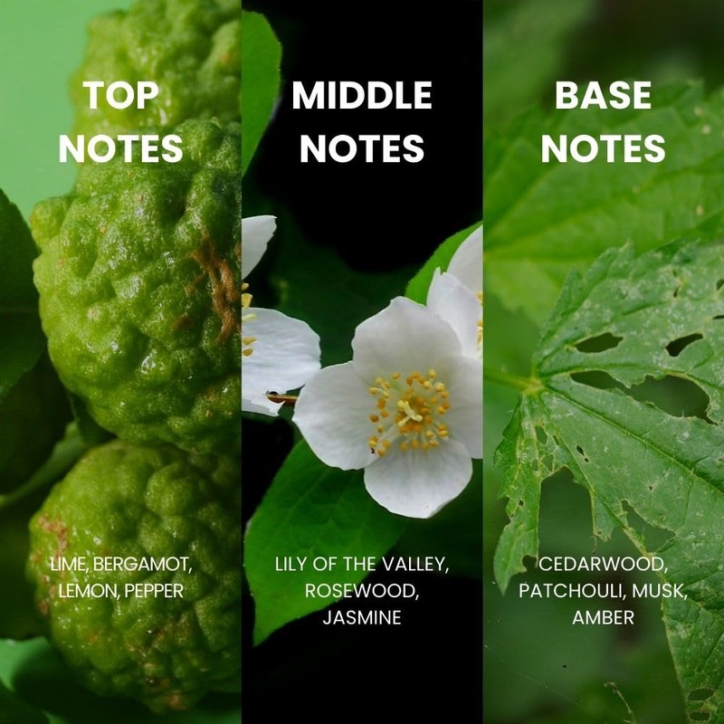 Royal Mirage Forbidden 100ml EDT Spray