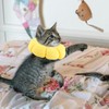 Thyonta Sunflower Pet Recovery Collar Soft and Comfortable Anti-Lick and