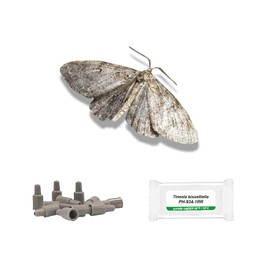 IPM Direct Pack of 3 Moth Trap Attractant Pheromones (Cloth Moth)