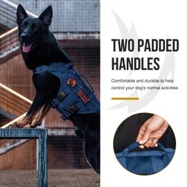 OneTigris Tactical Dog Harness for Small Dogs with Handles, Mesh Design Service Dog Vest Breathable Military Dogs Molle Vests with Handles, Harness for Walking Hiking Training (Blue, XS)