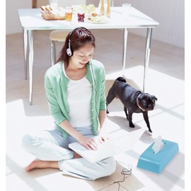 ISETO Tissue Case - W11.4 x D5.4 x H3.3 inches (290 x 138 x 83 mm), When using hooks: W14.4 x D5.4 x H3.3 inches (367 x 138 x 83 mm).