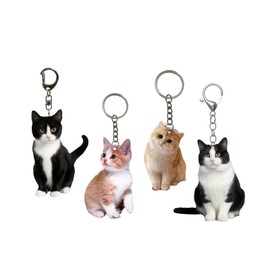 HUANGHUN Keychains 4Piece Set Cartoon Cat Keychains Acrylic Key Holder Key Pendant Acrylic Texture Cat Bag Charm Present for Fashion Lovers