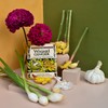 Fusion Flavors Dips and Seasonings Variety Packs - Variety 6