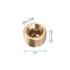 QUARKZMAN 1/4 Inch G Male Thread Brass Pipe Fittings x
