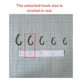 PRO FILSTAR 5 Fishing Hooks N2 - Leader & Swivel Braided Line 25 cm Diameter 0.25 mm