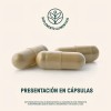 Enzimas Digestivas Bromelina Papaína 120 Cápsulas | LIFE360+