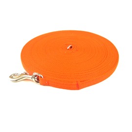 Puppy Training Lead Small Dog Recall Obedience Training Leash 50ft (15m) in 13mm Strong Webbing in (Orange)