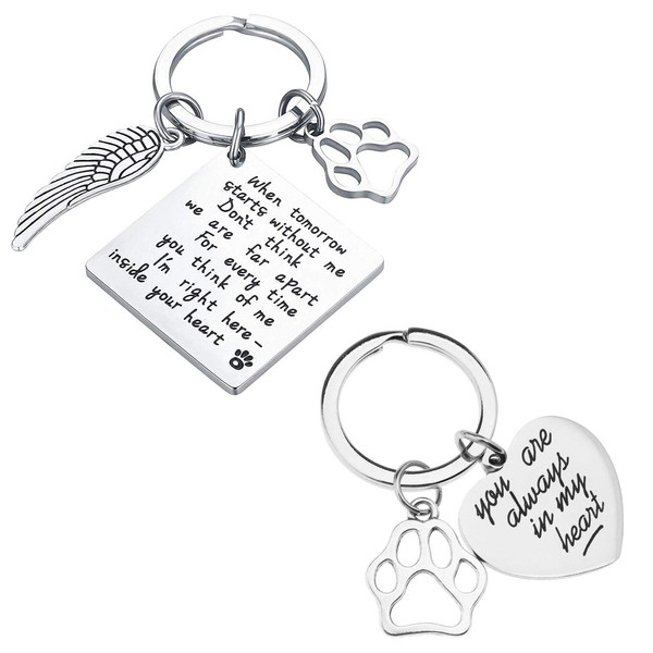 OTOTEC 2 x Pet Memory Key Ring Dog Cat Memory