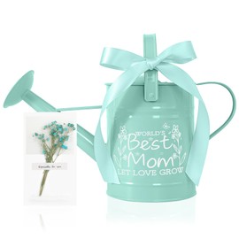 LZPTYYSN Gifts for Mom,Gardening Gifts for Women, Best Gifts for Mom,Gifts for Mom from Daughter Son,Metal Watering Can for Indoor Plants,1/2 Gallon,Mint Green