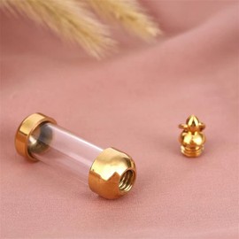 Blood Vial Necklace Stainless Steel Glass Cremation Urn Pendant Necklace for Women Keepsake Memorial Jewelry(Gold)