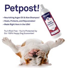 Petpost | Shampoo for Dry Skin Dogs - Argan Naturally Heals, Protects, & Rejuvenates Dog Itchy Skin & Coat - Argan Oil and Aloe Formula (8oz.)