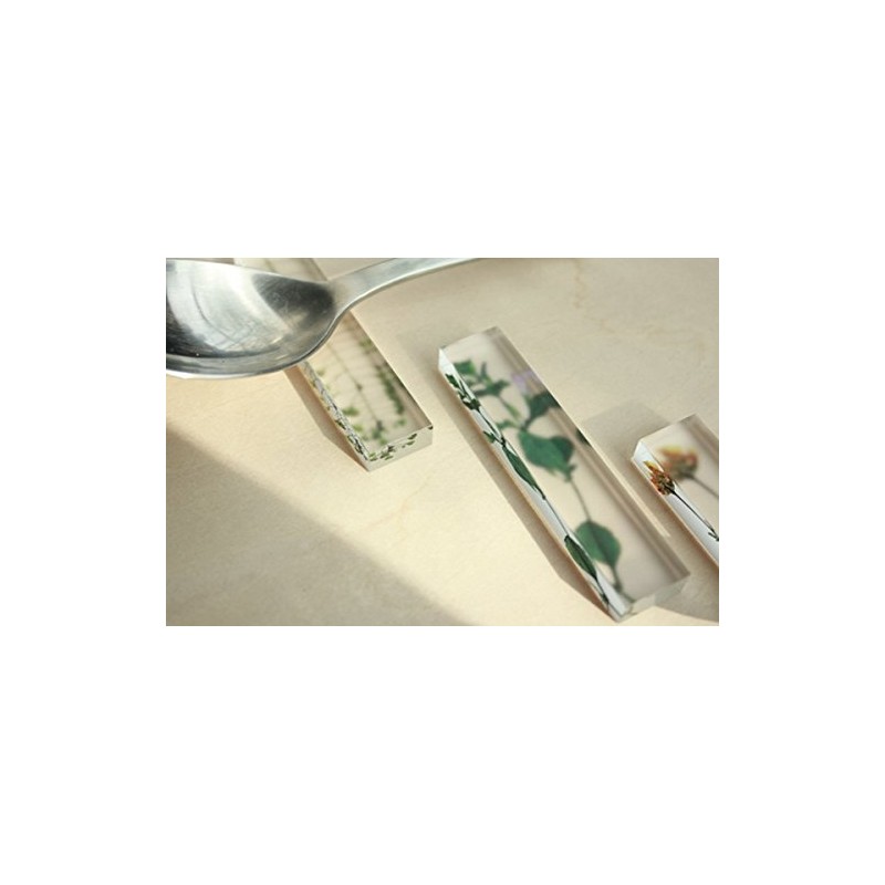 Toumei toumei 押花 katorari-resuto Set of 3 Wood Box