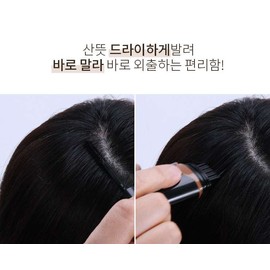 Wellpia [2+1] Self Gray Cover Quick Hair Magic Wellpia Gray Hair Cover Brush Root Dye / [2+1] 셀프 새치커버 퀵헤어매직 웰피아 흰머리커버 브러쉬 뿌리염색