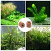 Aquatic Water Plant Fixed Rings, 20 Pcs, 20mm