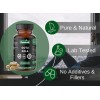 Gotu Kola Energia Mental Max Potente 320cap Americano Prime