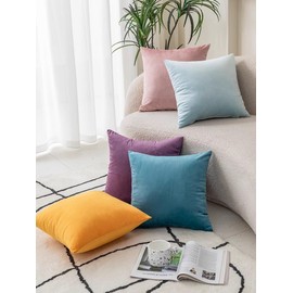 CLVEDU Decorative Pillow Covers, 2Pack 18x18In Velvet Cushion Covers, Premium Quality Pillowcases Throw Pillow Covers with Hidden Zipper, Ideal for Sofa, Bed Decoration 45x45cm