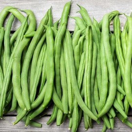 Dwarf Beans | 50 seeds | Heirloom variety | Fresh seeds