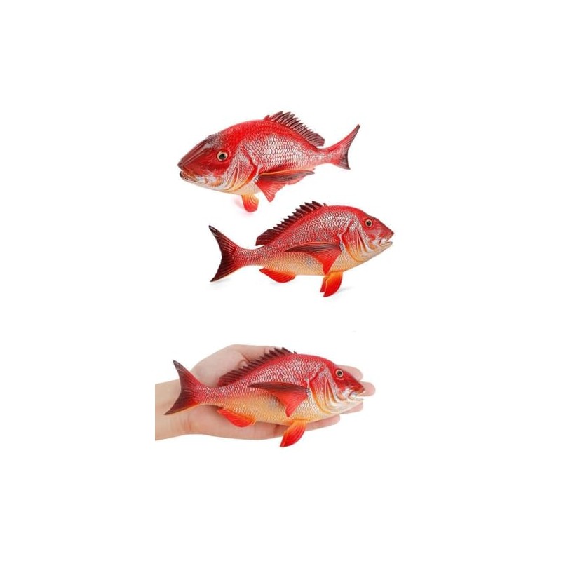 Neko Kamiyama Sea Sea Fish Sea Sea Sea Figure Model