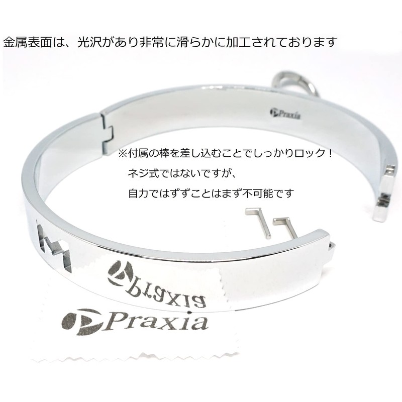 Praxia Metal Collar Lockable Choker, Letter M Design, Women's, Diameter