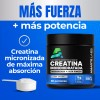 Creatina Monohidratada 100% Pura Micronizada Amarte Labs Sin Sabor
