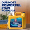 ARM & HAMMER Plus OxiClean Max Force Deep Clean Stain