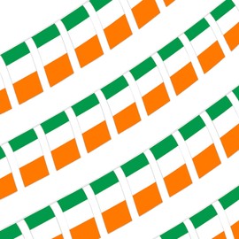 HIXNUG 2Pcs Irish Flag Bunting Rectangular Double Sided Irish Bunting Banner St Patrick's Day Decorations Event Banner