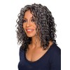 GLENDA (Foxy Silver) - Synthetic Mono Front Half Wig in