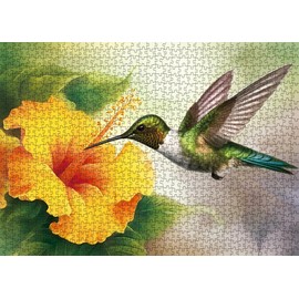 Hummingbird Picking Flowers Puzzles for Adults 1000 Pieces, Bird Flower Jigsaw Puzzles for Adults, Hummingbird and Hibiscus Flower Puzzle Decorations DIY Leisure Game Toy Suitable Family Friends