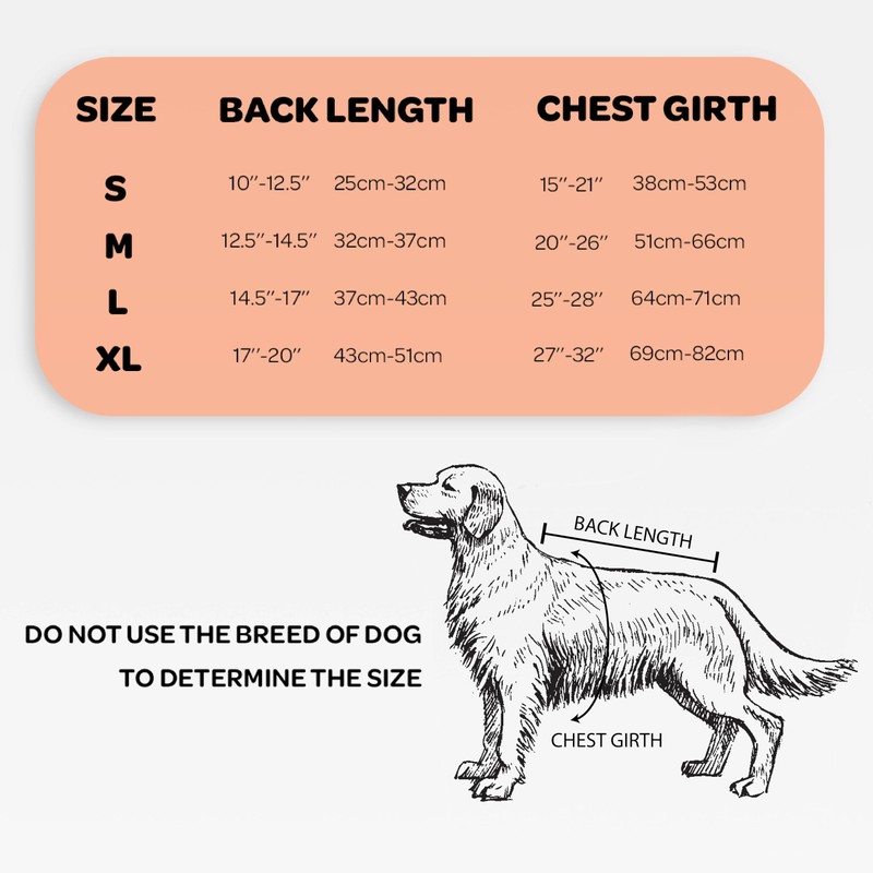 NeoAlly Dog Back Brace for Dogs Arthritis, IVDD, Spinal Surgical